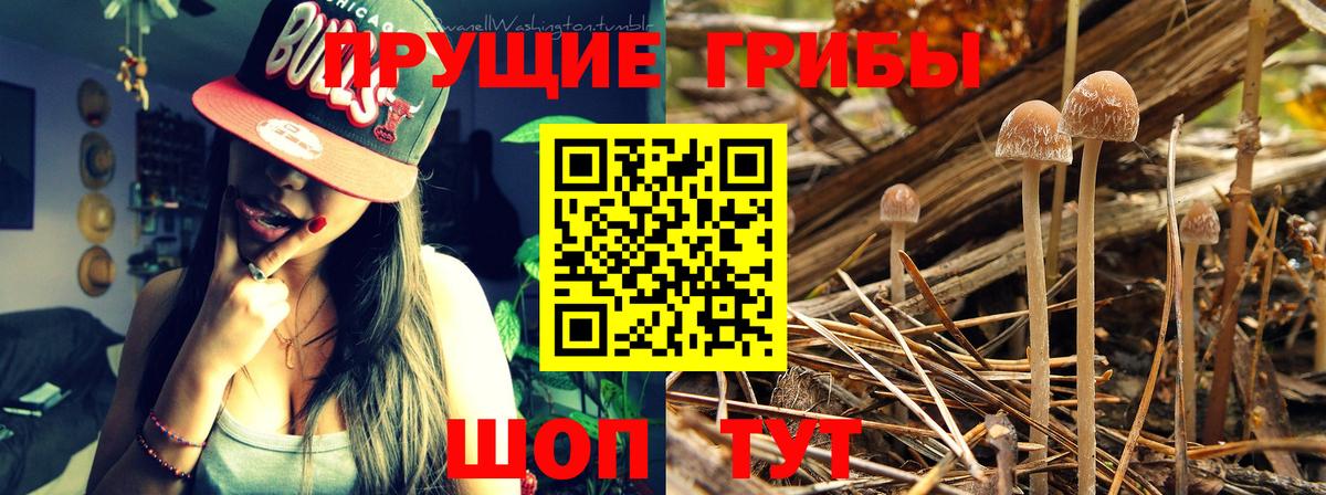 Галлюциногенные грибы Psilocybine cubensis  Псилоцибиновые грибы Psilocybe  Еманжелинск  Вход с VPN 